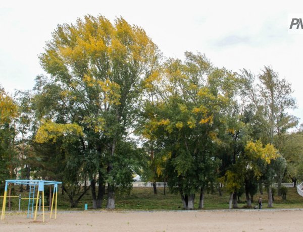 24 маусымда Павлодар облысында найзағай ойнап, бұршақ жаууы мүмкін
