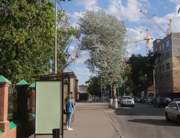 BAYANAUYL FEST: Концертке бару үшін арнайы автобус маршруты ұйымдастырылады
