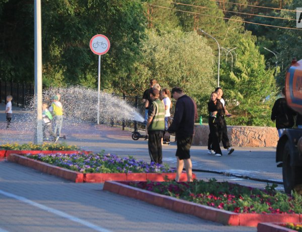 Павлодардың жасыл желегі ерекше бақылауда