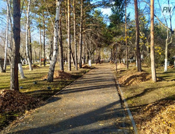 Спортивные школы Павлодарской области поддержали акцию «Таза Қазақстан»