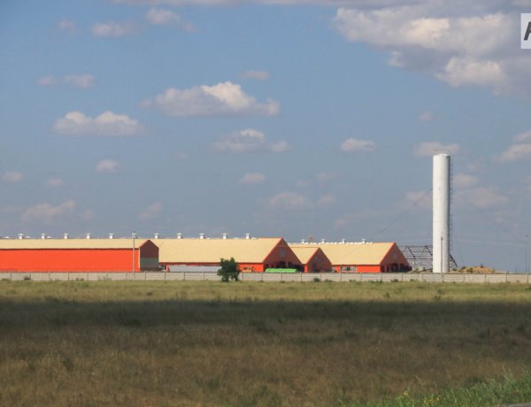 «Aqtogai Milk» ЖШС-дегі жазатайым оқиғағаның себебі белгілі болды