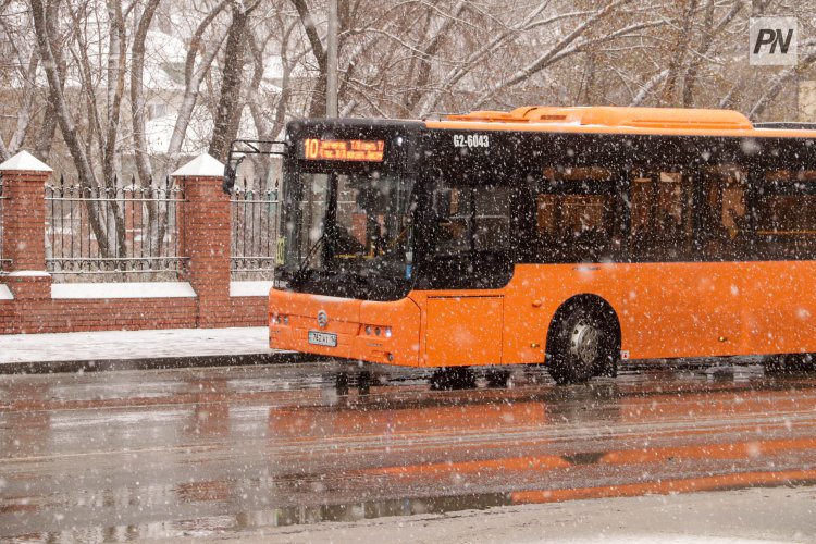 Павлодарских водителей предупредили об опасности на дорогах