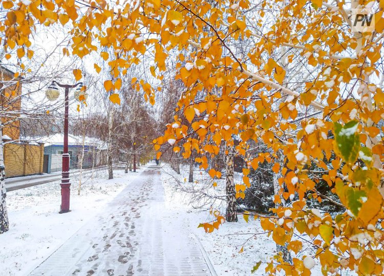Топ красивых мест Павлодара для прогулок в снегопад