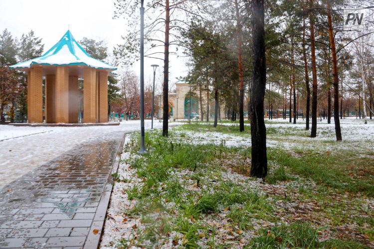 Облачно будет в Павлодарской области 8 ноября