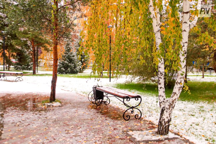 Теплым ожидается 11 ноября в Павлодарской области