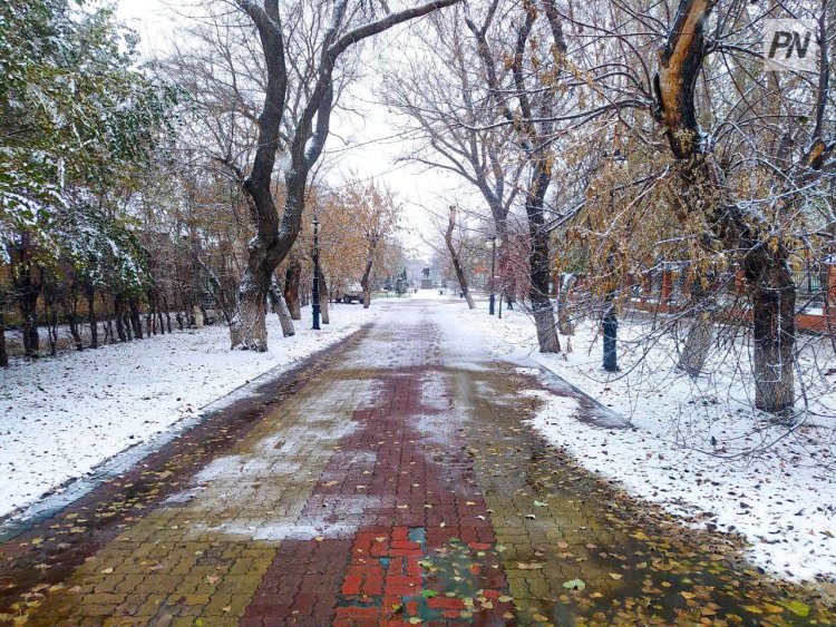 Небольшой снег ожидают в Павлодарской области 20 ноября