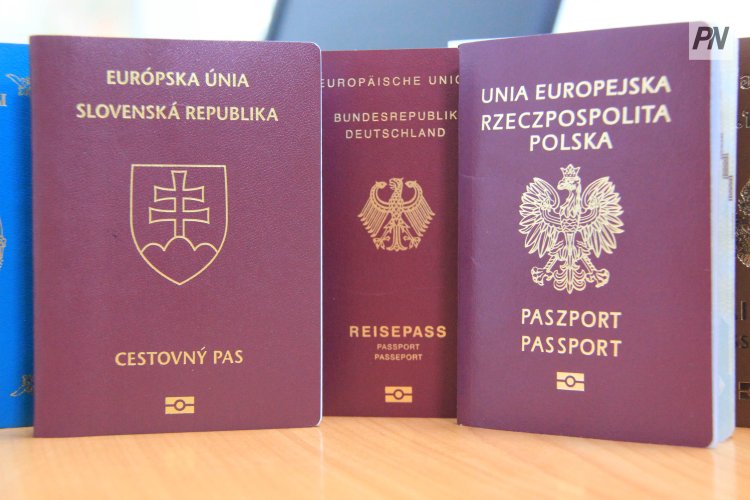 Германия азаматтық беру рекордын жаңартты: сириялықтар мен түріктер көш бастады