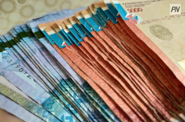 В Павлодаре задержали кредитную мошенницу