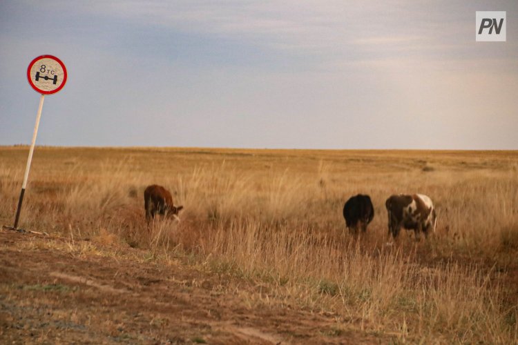 Ақсуда құны екі миллиард теңгеден асатын жайылымдық жерлер халыққа қайтарылды