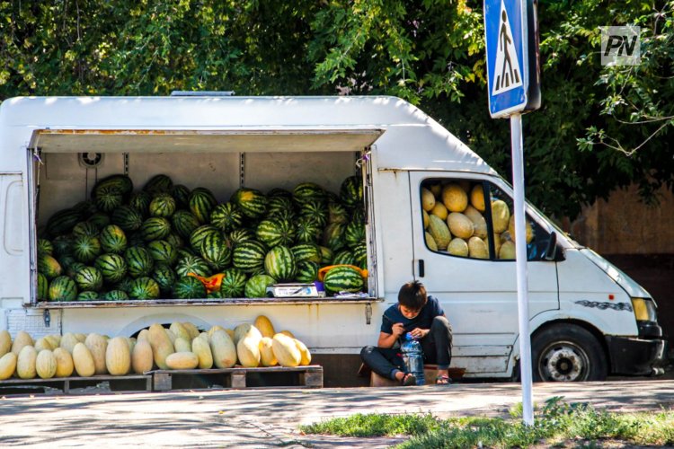В Павлодарской области продлили сроки сельхозпереписи