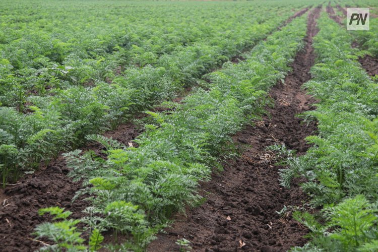 Павлодарские аграрии в 2025 году получили миллионы кубометров воды