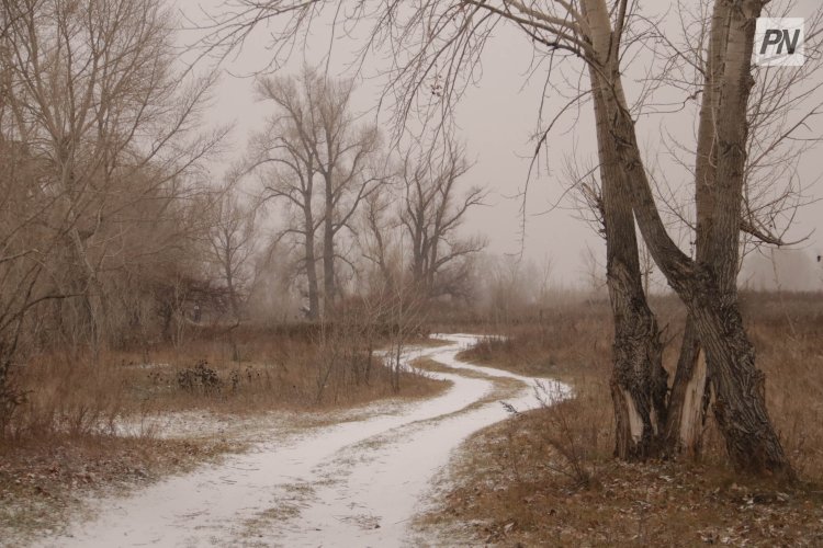 Туман и гололед: погода в Павлодарской области 27 декабря