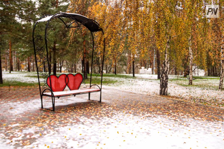 Небольшой снег ожидают в Павлодарской области 7 декабря