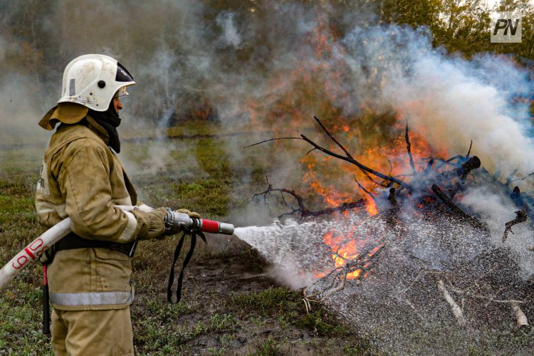 Павлодар облысында саяжайларда үш өрт тіркелді