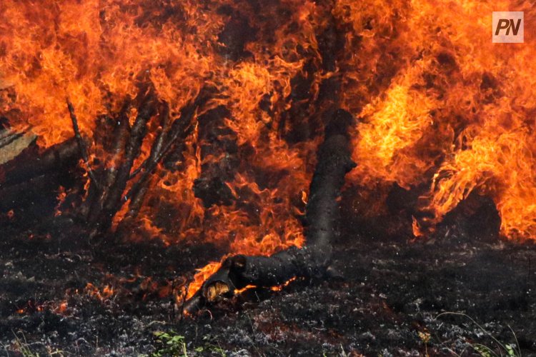 Аққулы ауданында орман өртінің алдын алу туралы айтып береді