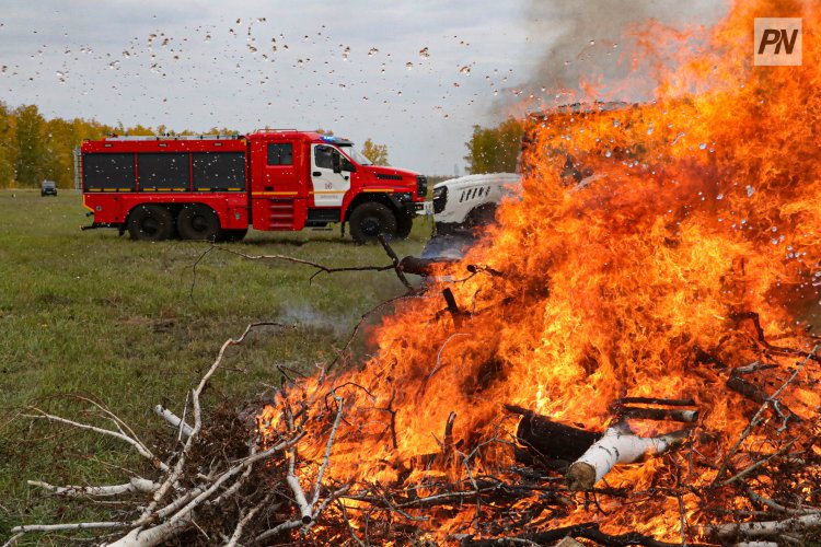 Борьба с пожарами в Баянаульском нацпарке будет четырёхсторонней