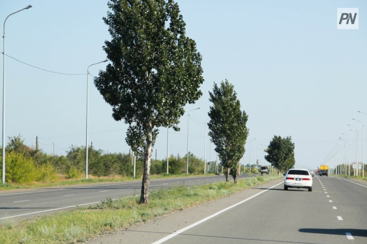 Павлодарда қатты соққан жел салдарынан электр желісінде ақаулар орын алды