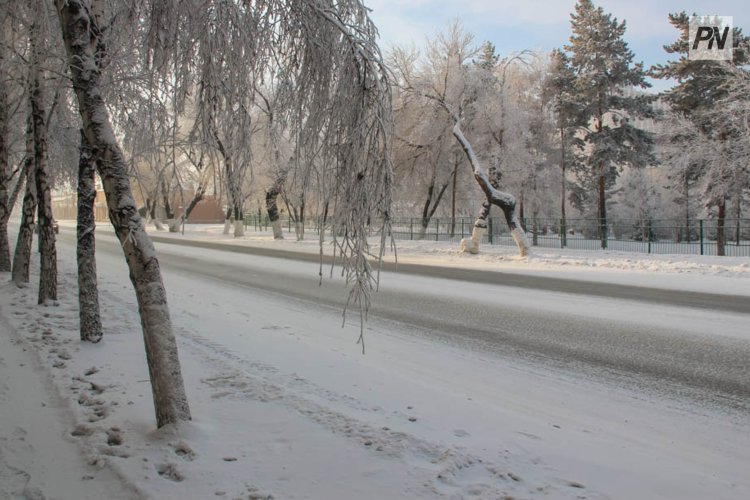 Экологи проверили снег в двух микрорайонах Павлодара
