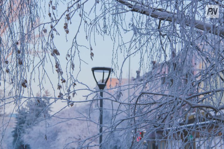 Начало января в Павлодарской области будет теплым