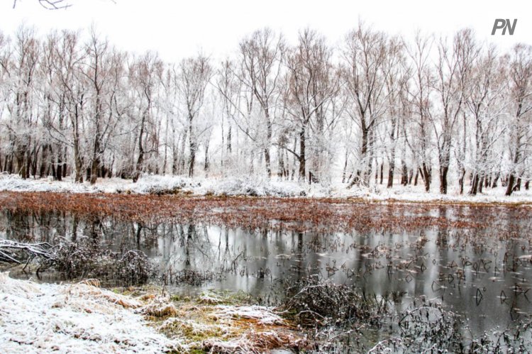 В Павлодарской области отступят морозы