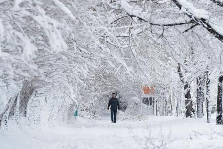 Небольшой снег ожидают в Павлодарской области 12 января