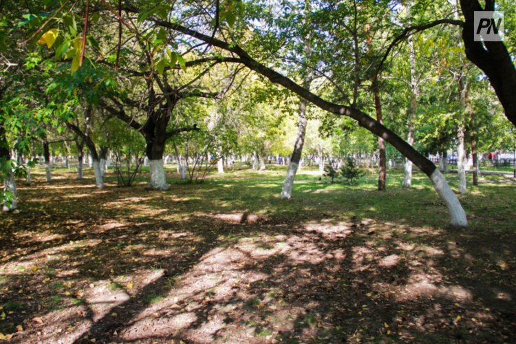 27 августа павлодарцев ждёт солнечный день
