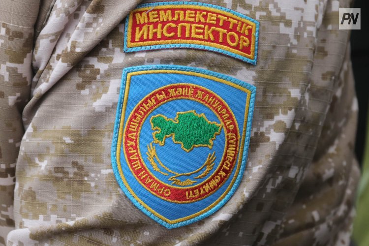 Павлодар облысының орманшылары ведомстволық марапаттарға ие болды