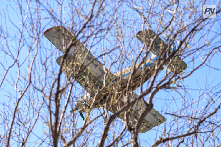 В Павлодаре расследуют падение самолета