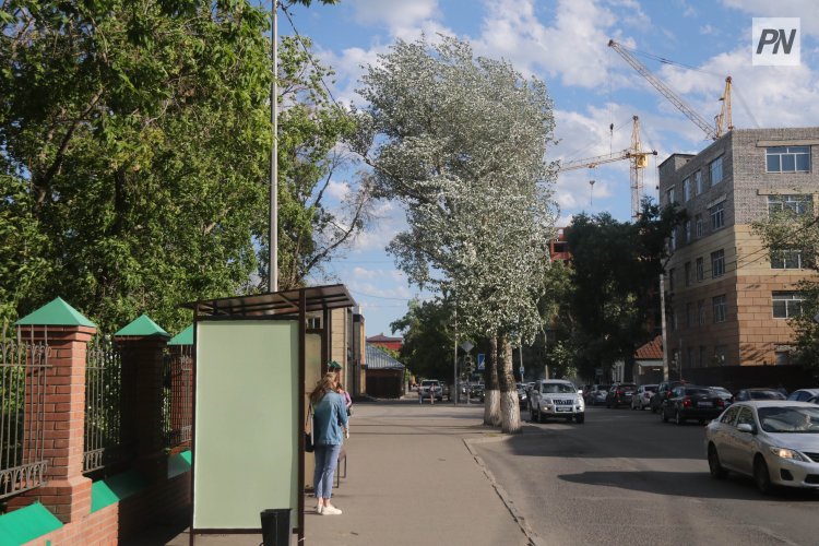 Павлодарда төрт автобус қозғалыс бағытын өзгертті