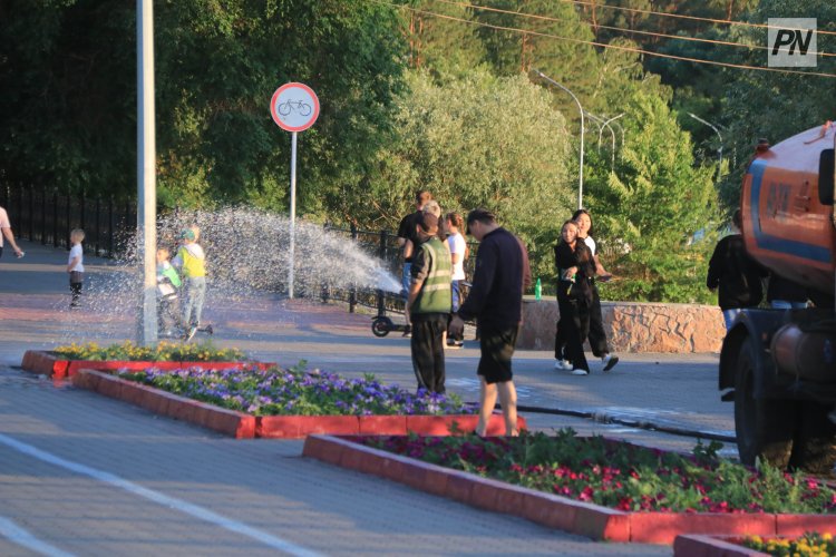 Павлодардың жасыл желегі ерекше бақылауда