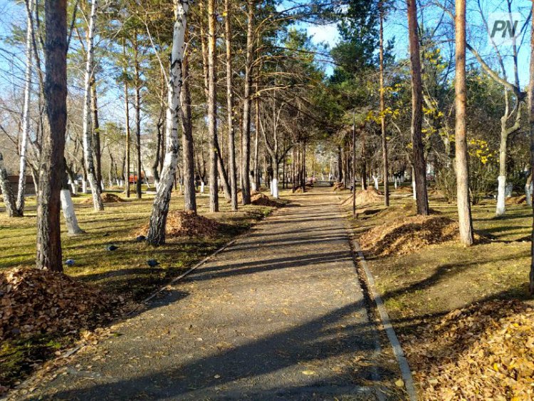 Спортивные школы Павлодарской области поддержали акцию «Таза Қазақстан»