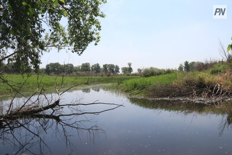Какие воды пополнят павлодарский Иртыш
