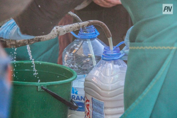 Шарбақтыда ірі тауарлы сүт фермасы салынады