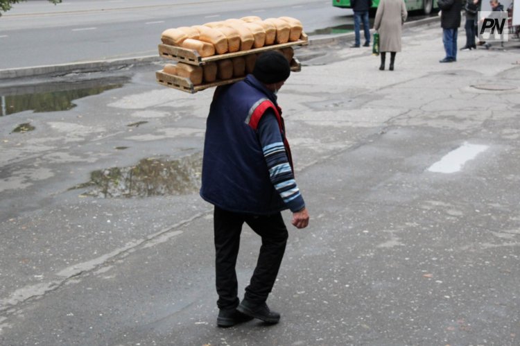Какие сферы в Павлодарской области больше всего пополнили рабочими руками