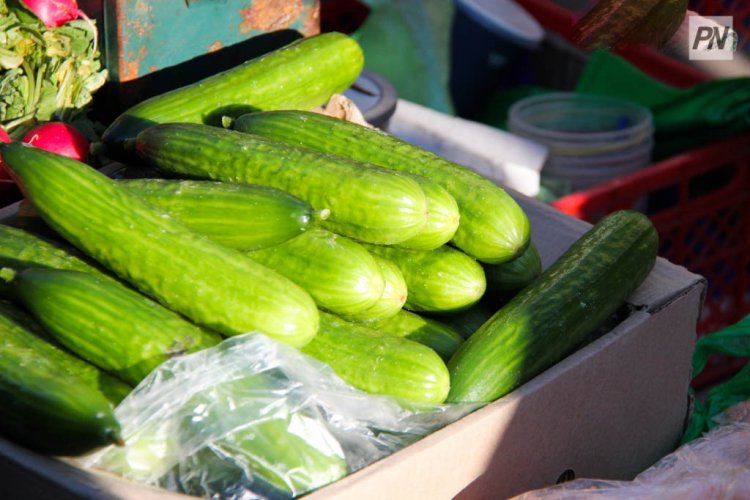 В Павлодарской области стали дешевле огурцы и репчатый лук