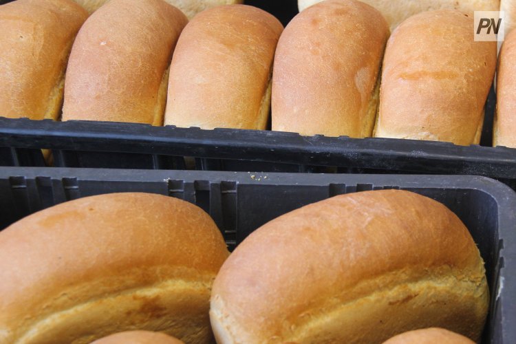 Павлодарда кезекті ауыл шаруашылығы жәрмеңкесінде тауарлар арзан бағамен сатылады