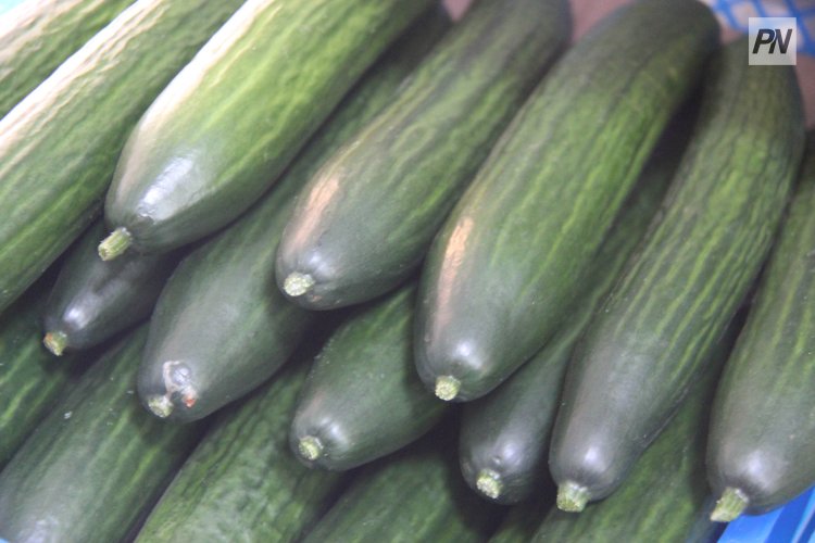 Павлодар облысында қияр бағасы арзандады