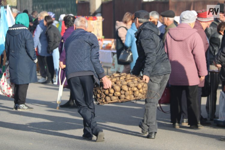 Павлодарда ауылшаруашылық жәрмеңкесі концертпен өтеді