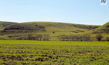 Павлодар облысында жер топырағының әлеуеті зерттеледі