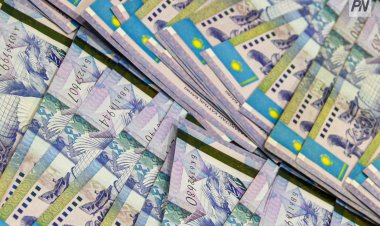 В Павлодарской области волонетеры смогут выиграть полмиллиона тенге