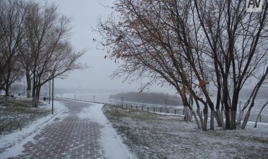 Жұма күні Павлодар облысында қар мен жаңбыр жауады