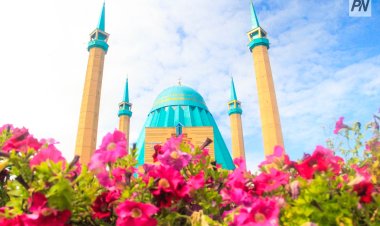 Павлодарцы смогут совершить обряд жертвоприношения онлайн
