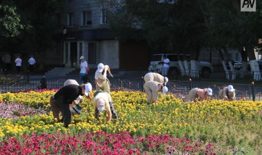 Павлодар облысында жасылелдіктердің жалақысы өсті
