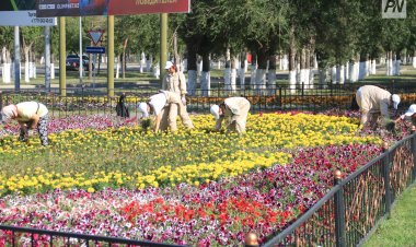 Павлодарские школьники на каникулах займутся озеленением