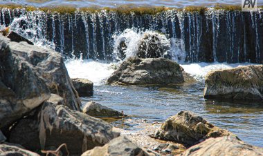 Павлодар облысында су саласында заңбұзушылық анықталды