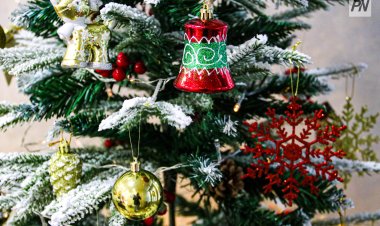 Павлодар Қазақстан халқы Ассамблеясы ерекше шырша кешін өткізді