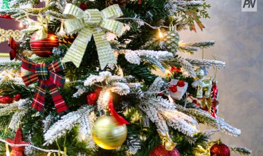 Павлодарские музыканты нарядили ёлку вместе с родителями