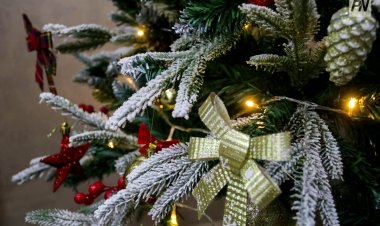 Особенным павлодарцам подсластили Новый год