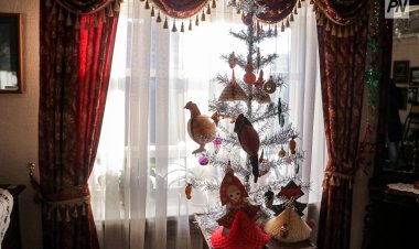 В Павлодарском музее установили Багаевскую елочку