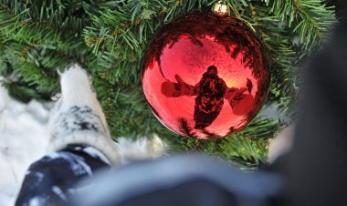 Ледовый лабиринт и беркуты: как украсят Павлодар к Новому году